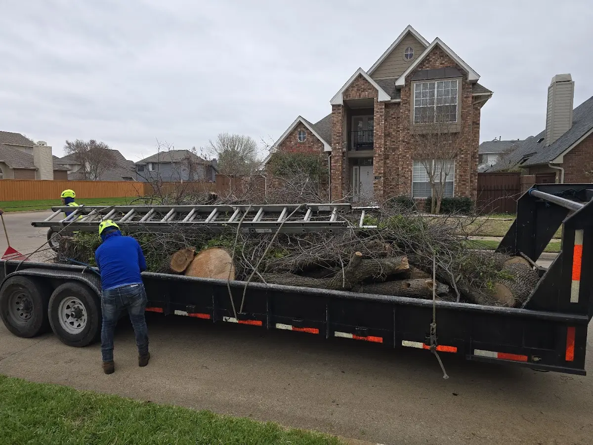 Expert Lot Clearing with proper safety equipment in Sigourney